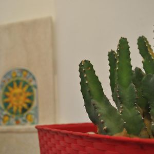 B&B Jasmin
